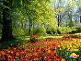 Szegedi Tavaszi Fesztivál