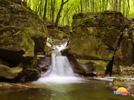 Programlehetőségek