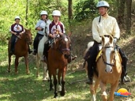 Debreceni Lovasakadémia Kht.