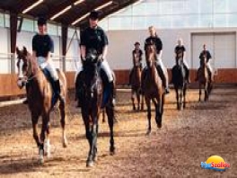 Debreceni Lovasakadémia Kht.