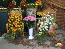 Szőregi Rózsafesztivál