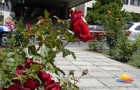 Riviera Park Hotel