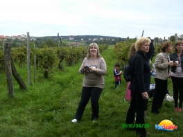 Szüreti Hétvége Hétvége  Majerik Hotel
