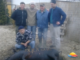 "Révfülöpi Disznóságok " - IV. Balatoni Kolbásztöltő-, Fogópálinka verseny és Disznótoros Rendezvény