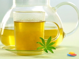 3 napos léböjt tábor a Balaton-felvidéken