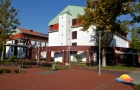 Gyógyító felüdülés