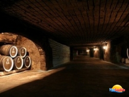 Villány - Siklós borút