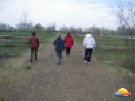 Nordic Walking túra