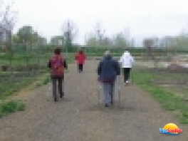 Nordic Walking túra