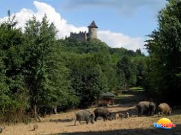 Börzsönyi kaland túra