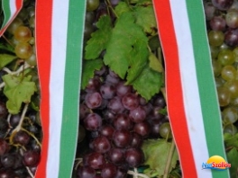 Nemzeti Forradalmi ajánlat