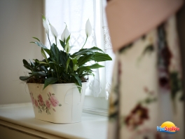 Valentin-napi csodálatos akció!