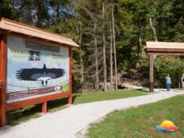 Szabadtéri erdei múzeum