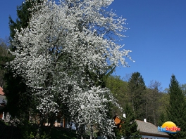 Keresztkúti kirándulás a "Vasfüggöny mögé"