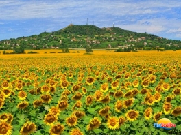 Alsósági Tavaszi Napok