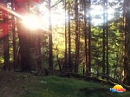 Túraajánlatok az Őrségben és a Vendvidéken