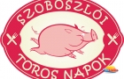 Toros napok Hajdúszoboszló