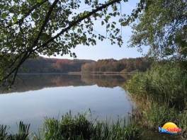 Desedai Arborétum látogatása