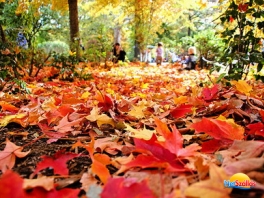 Október 23. Harkányban - 3 éjszaka
