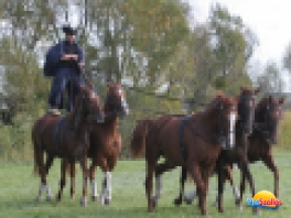 Hagyományos Mihály napi Lovas és Pásztortalálkozó